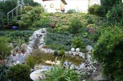 Japanischer Garten mit vielen Pflanzen