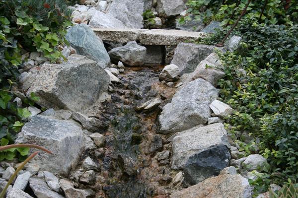 Trittplattenweg quert Bachlauf